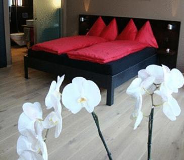 Hotel Quersinn Pfäffikon Rom bilde